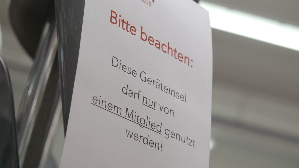 Woher Wissen Brieftauben Wo Sie Hin Müssen
