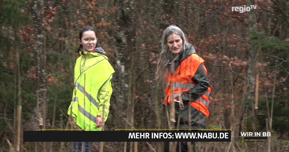 Was Ist Los Im Kreis Böblingen
